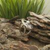 Дамски сребърен пръстен с овална форма добавени гравюри и инкрустирана речна перла.
