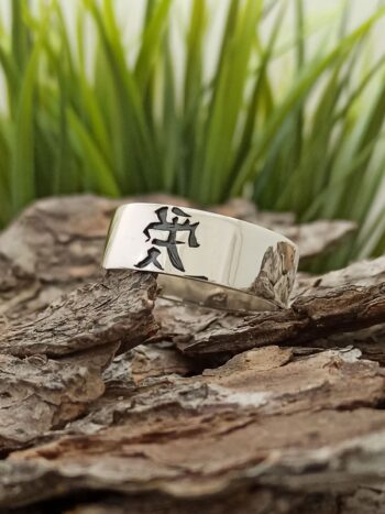 Мъжки сребърен пръстен 329T