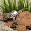 Дамски сребърен пръстен с перла 1119R