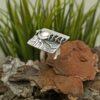 Дамски сребърен пръстен 1031R