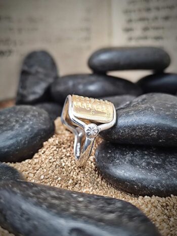 Пръстен от злато и сребро AnaBekoach