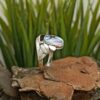 Сребърен пръстен с кралски седеф 945RK