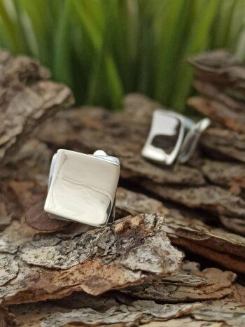 Дамски сребърни обеци 1372E