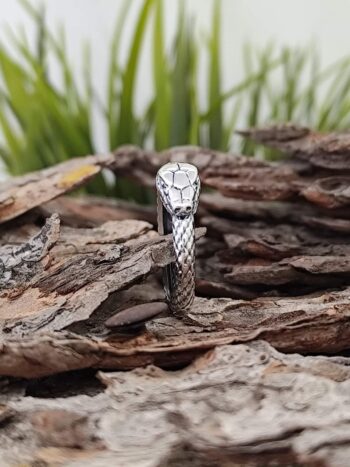 Сребърен пръстен 